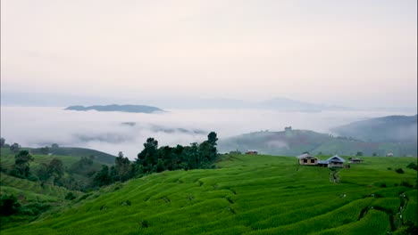 Arroz-presentado-y-montaña-en-un-brumoso-Time-lapse,-Ban-Pa-Bong-Piang-tribu-pueblo,-Chiangmai,-Tailandia.