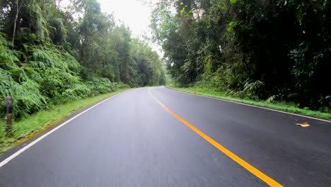 Coche-que-conduce-en-el-bosque