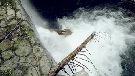 Mountain-stream-with-waterfall,-small-water-dam,-trees-attacked-in-river-water-channel