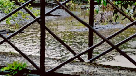 Lluvias-tropicales-y-las-gotas-de-lluvia-cayendo-en-el-estanque-del-río-con-un-puente