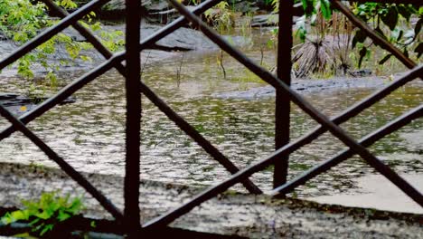 Tropischen-Starkregen-und-Regentropfen-fallen-auf-Fluss-Teich-mit-einer-Brücke