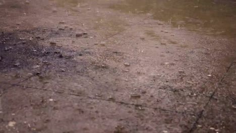 Footage-of-rain-falling-on-pavement