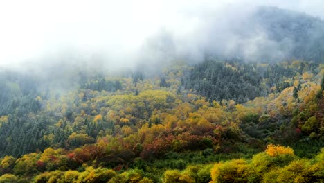 Colorful-Lake,-Waterfall,-Forest,-Mountains-At-Jiuzhaigou-In-China