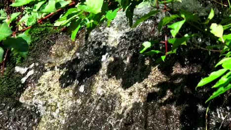 Wasserfall-Krimml-Detail-Slowmo