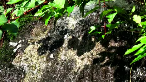 waterfall-krimml-detail-slowmo