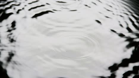 Drop-of-Water-falling-into-Water,-Slow-motion-4K