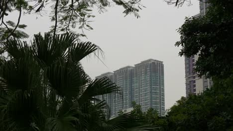 China-bewölkten-Tag-Macau-Stadtbild-Park-Panorama-4k