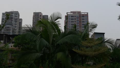 china-day-time-macau-cityscape-rooftop-living-block-panorama-4k