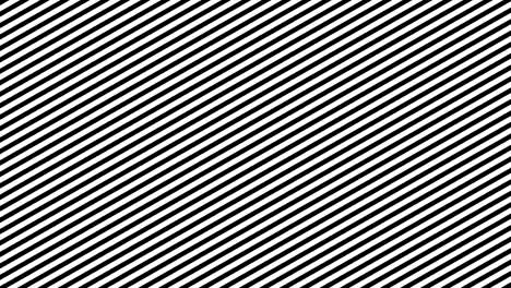 Zebra-Line-Movement-Animation-Background.-Seamless-Loop