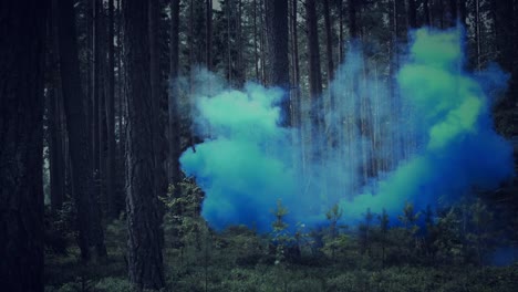 4K-Halloween-Horror-of-Smoke-in-Dark-Forest