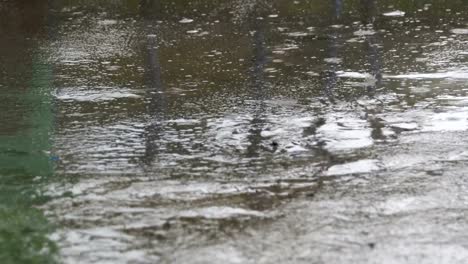 Gotas-de-lluvia-caen-al-pavimento-formando-un-charco