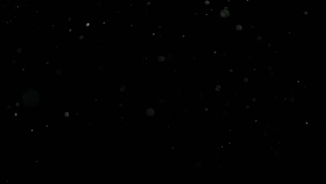 Slow-Motion-Snow-on-Black-Background