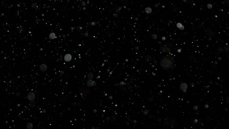 Slow-Motion-Snow-on-Black-Background