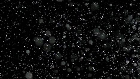 Cámara-lenta-nieve-sobre-fondo-negro