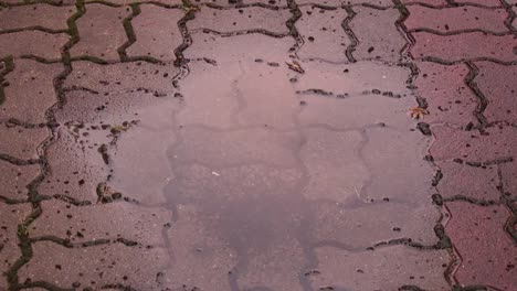 Timelapse-view-of-reflecte-sky-on-water-at-sidewalk-block-after-rain