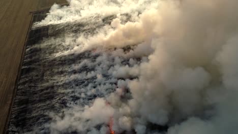 Aerial-view-from-drone-farmer-Burning-dry-grass.-Fire-in-a-field-aerial-view.-Fire-on-autumn-fields.-4K,-UHD