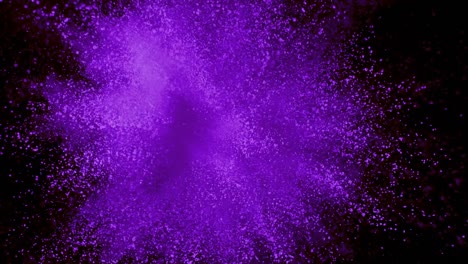 Purple-powder-exploding-on-black-background-in-super-slow-motion