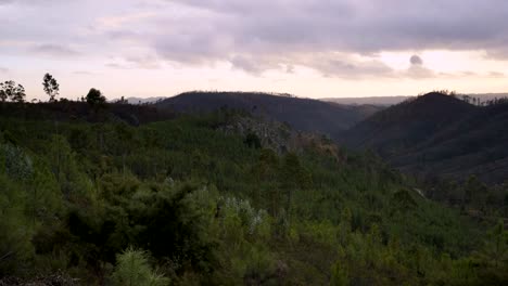 View-of-Portuguese-burned-forest-fires-in-Vila-de-Rei,-Portugal