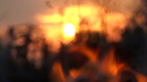 Slow-motion-flame-fire.-Burning-flame-of-fire-close-up-on-sun-background