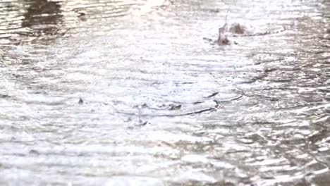 Slow-motion-raining-water-dropping-on-ground-to-flood-city.