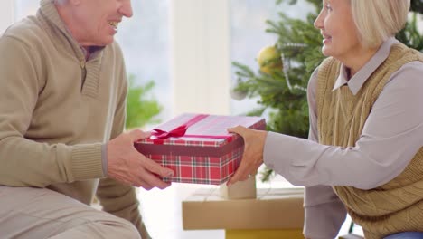 Senior-Lady-Giving-Present-to-Husband