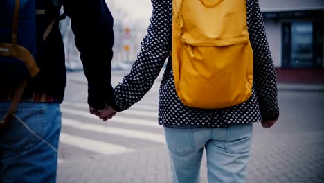 Back-view-happy-relaxed-young-romantic-couple-in-casual-clothes-walk-together-holding-hands-on-a-snowy-cold-winter-day.