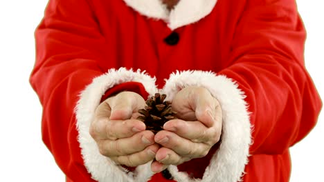 Mid-section-of-santa-claus-holding-pine-cone