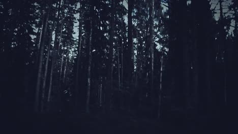 4K-Halloween-Horror-Frau-läuft-im-finsteren-Wald