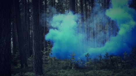 4K-Halloween-Horror-of-Smoke-in-Dark-Forest