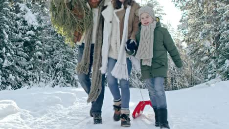 Loving-Family-Carrying-Christmas-Tree-Home