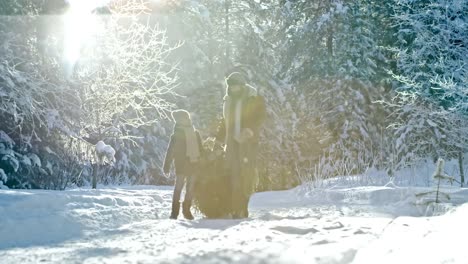 Vater-des-jungen-helfen-mit-Weihnachtsbaum