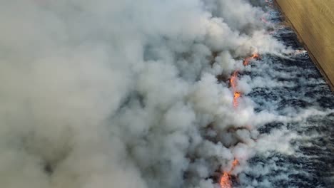 Smoke-coming-from-burning-stubble-in-a-field.-Aerial-footage-from-above.-4K,-UHD