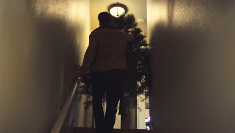 Young-man-carrying-a-Christmas-tree-up-a-set-of-stairs-in-his-house