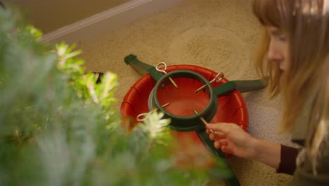 Young-woman-adjusting-a-Christmas-tree-stand