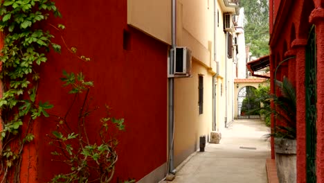 La-puerta-de-entrada-de-la-casa-roja.-Patio-trasero-de-la-casa.-Plantas-cur