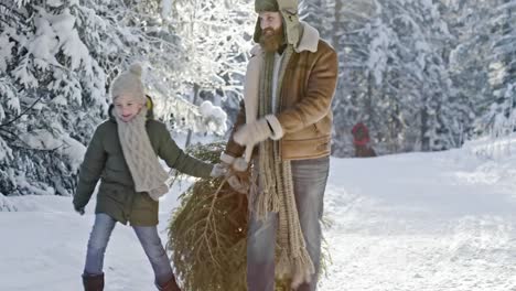 Hombre-y-muchacho-llevando-árbol-de-Navidad-del-bosque