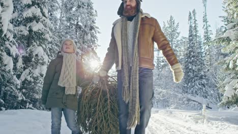 Vater-und-Sohn-tragen-Weihnachtsbaum-aus-Wald