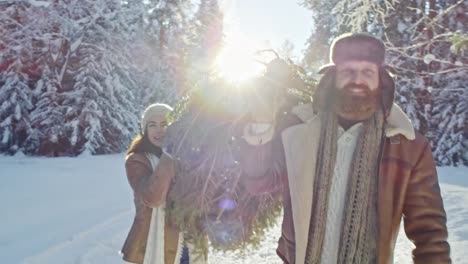 Happy-Couple-Carrying-Christmas-Tree