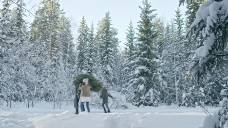 Familie-mit-Weihnachtsbaum-zu-Fuß-durch-Wald