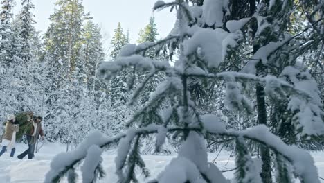 Familie-mit-Weihnachtsbaum-durch-Wald