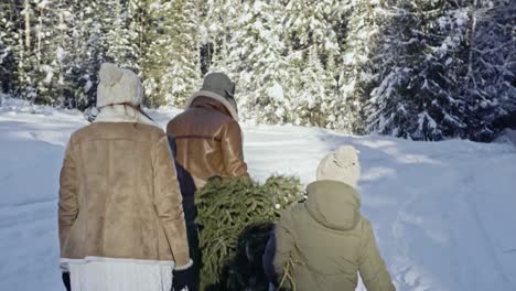 Familie-mit-Weihnachtsbaum-im-Wald-wandern