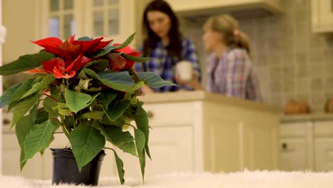 Two-girlfriends-talks-at-the-kitchen-at-the-background-of-christmas-flower