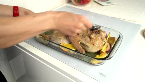 Las-manos-de-la-mujer-por-ganso-cruda-marinada,-relleno-de-manzanas-en-rodajas.-Ganso-se-prepara-para-cocinar-en-una-fuente-para-horno-con-las-manzanas-maduras-sobre-mesa-con-mantel-blanco.-Luz-del-día