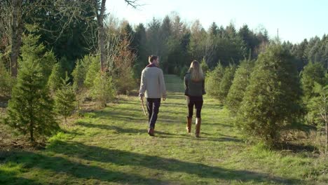 A-young-family-walking-through-a-Christmas-tree-farm,-man-carrying-a-saw