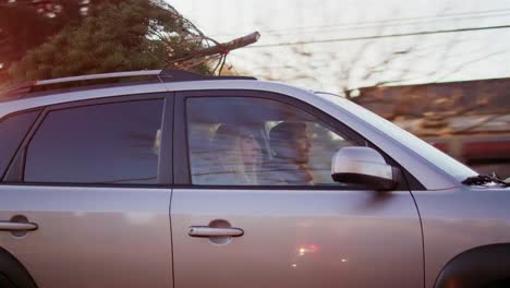 Junger-Mann-und-Frau-fahren-mit-einem-Weihnachtsbaum-auf-ihrem-Auto