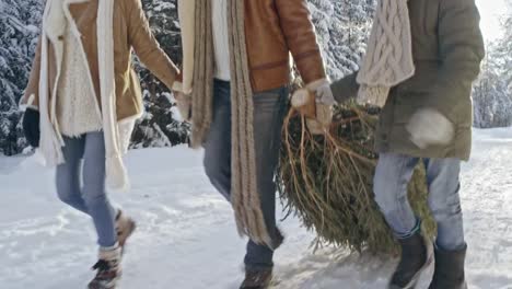 Niño-y-los-padres-llevando-árbol-de-Navidad-del-bosque