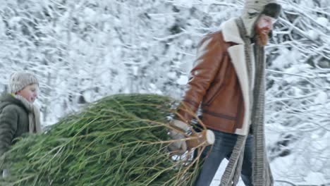 Hombre-y-muchacho-llevando-árbol-de-Navidad-del-hogar