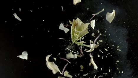 Yellow-lily-flower-exploding-in-super-slow-motion