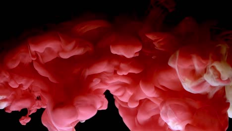 Red-and-white-paint-cloud-spraying-in-water-on-black-background.