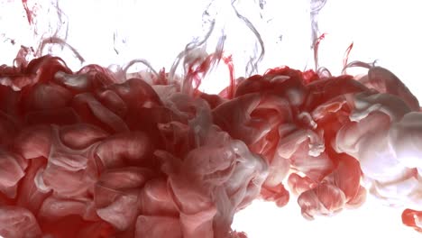 Red-and-white-acrylic-paint-cloud-spraying-in-water-on-white-background.